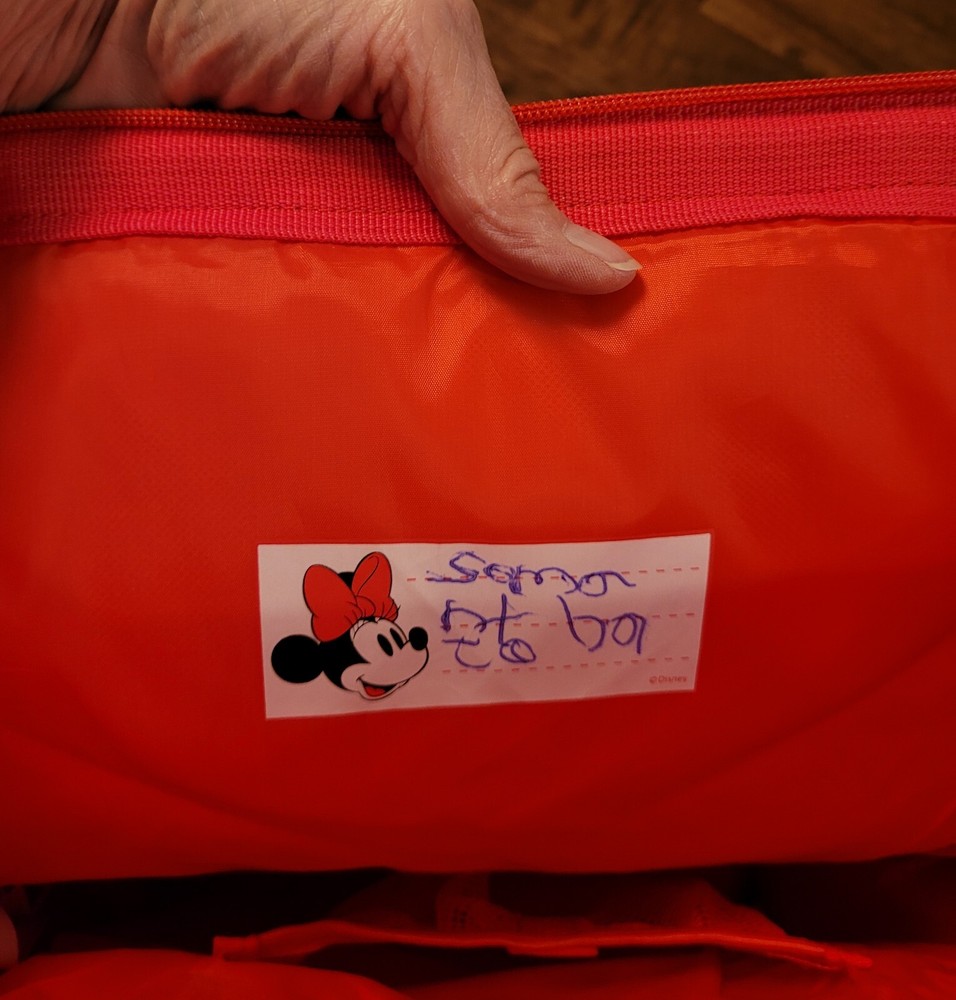 Disney Minnie Mouse Back Pack Chenille Bow Weekender