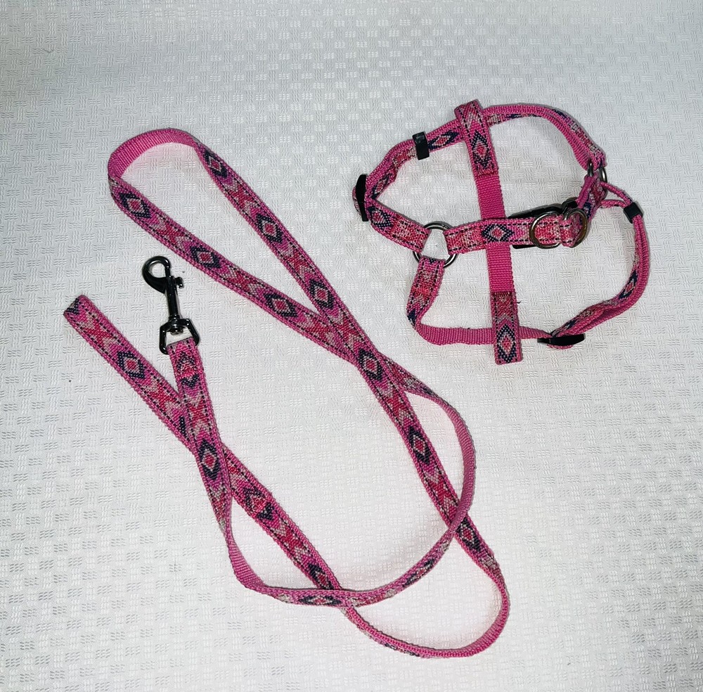 Dog Leash with Matching Harness Pink 55”