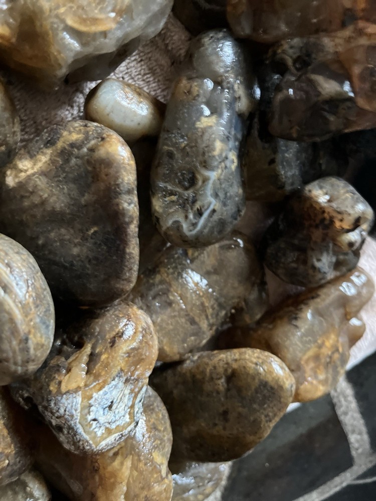 30 Lbs. ￼Rough Montana Agate (48)