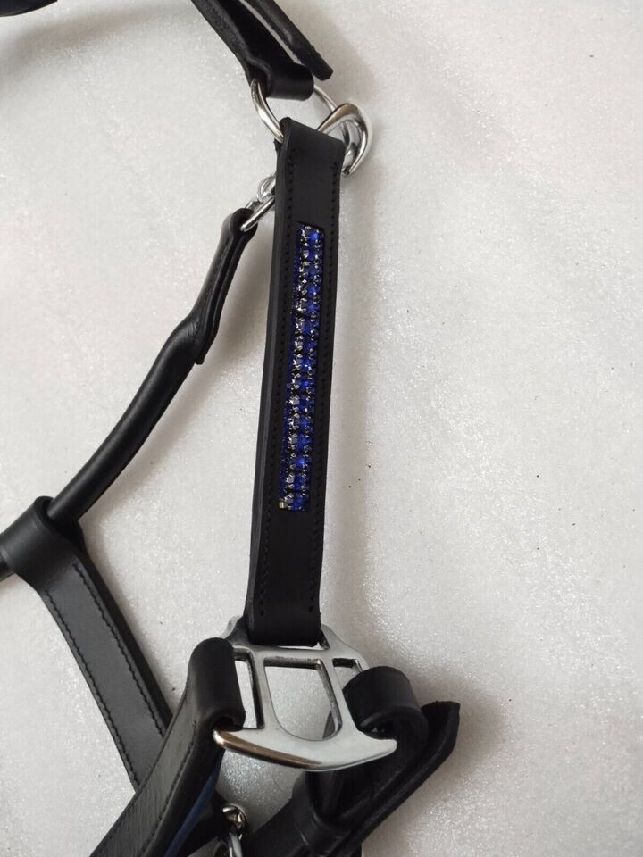 Blue Crystal & Padding Leather Halter With S.S. Fitting For Horse.