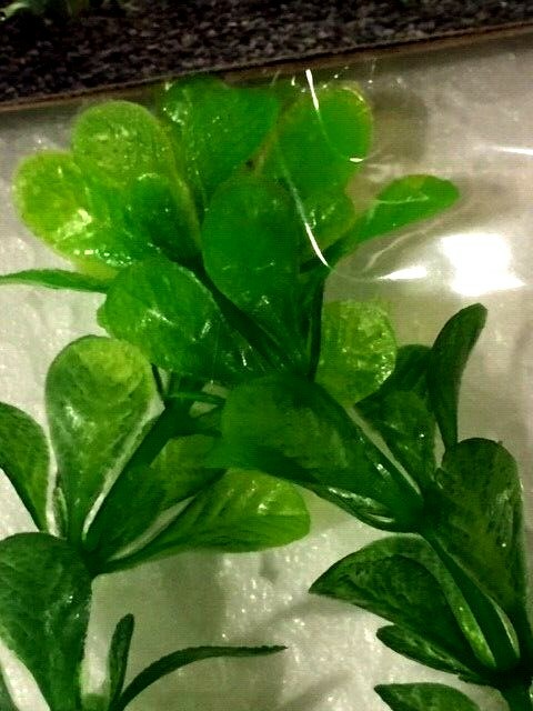 GREEN PLASTIC PLANT LOT MIXED (4X-8X) LARGE 10"-11" AQUARIUM. SUPER FAST SHIP!