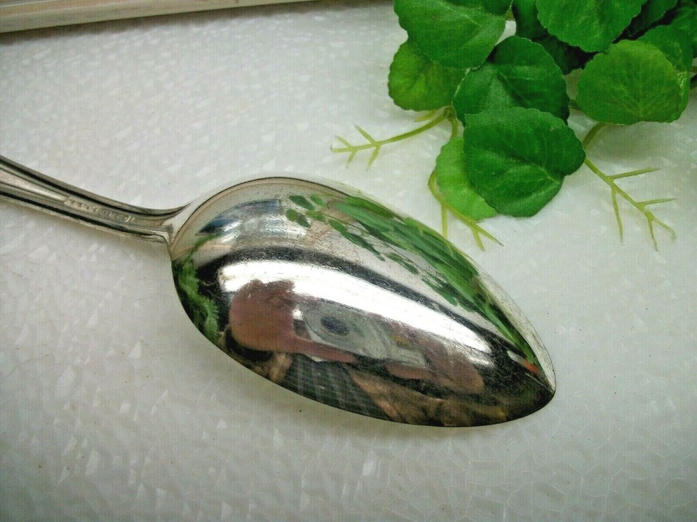 Vintage National Silver TWO Pattern Silverplate Solid Serving Spoon