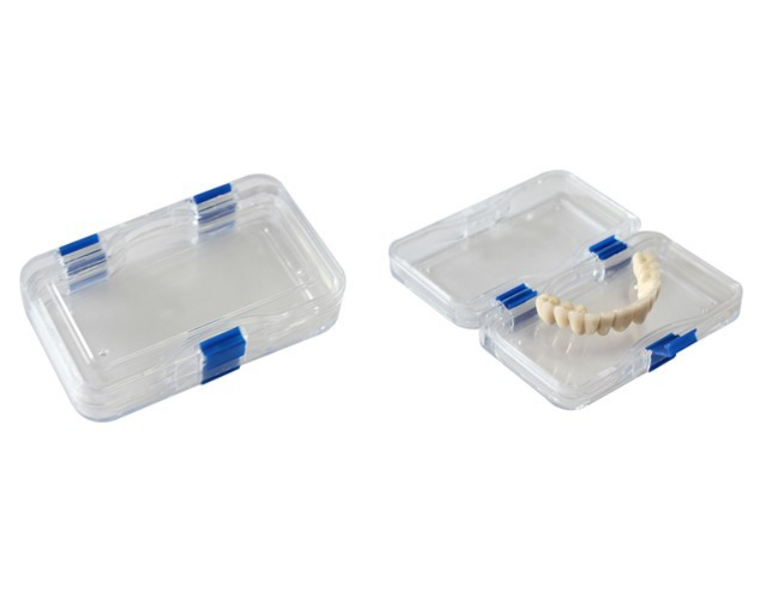 Hinged Display Box Clear Membrane Storage Boxes Jewelry False Teeth Case 10pcs