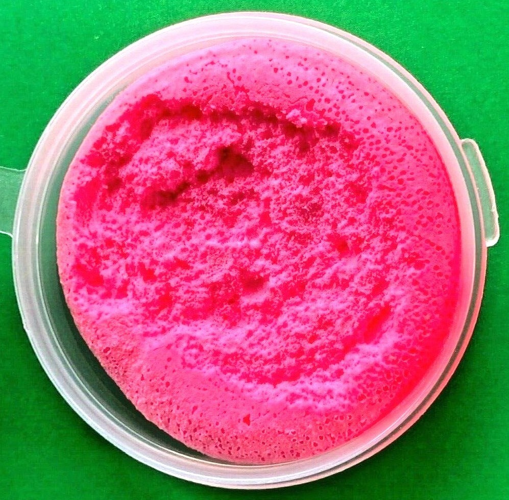 FREESTONE Supply Co Biostrike PINK Strike Indicator Putty