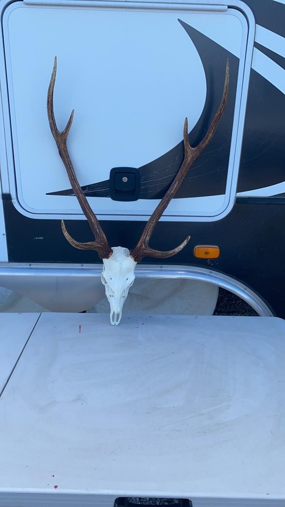 European Axis Mount