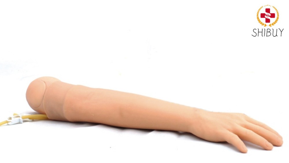 Display Arm Venipuncture IntramuscularInjection Training Model