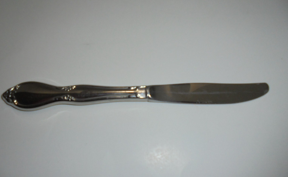 6 Oneida Community Stainless Chatelaine Dinner Knives