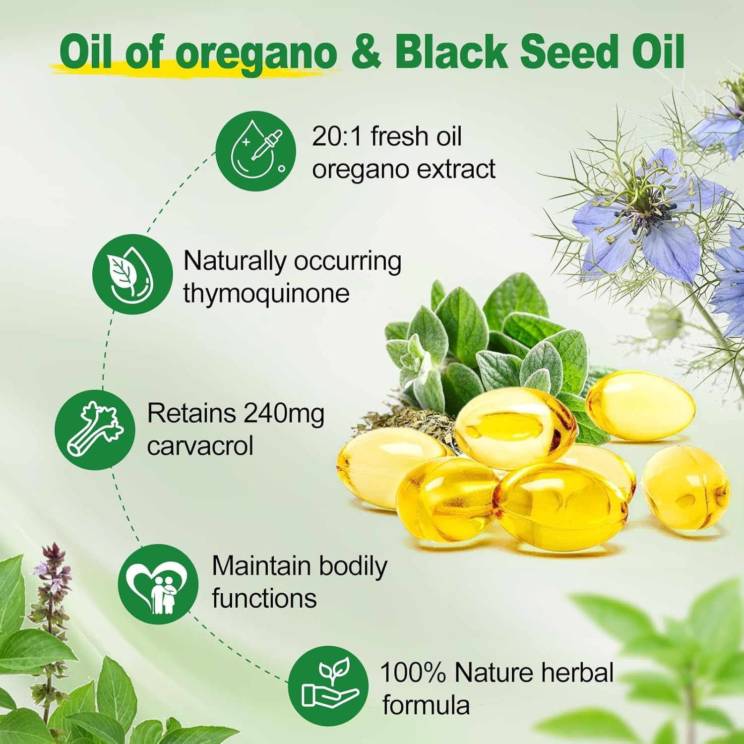 Oregano Oil 6000mg 120 Softgels Capsules Pills Contains Carvacrol Immue Support