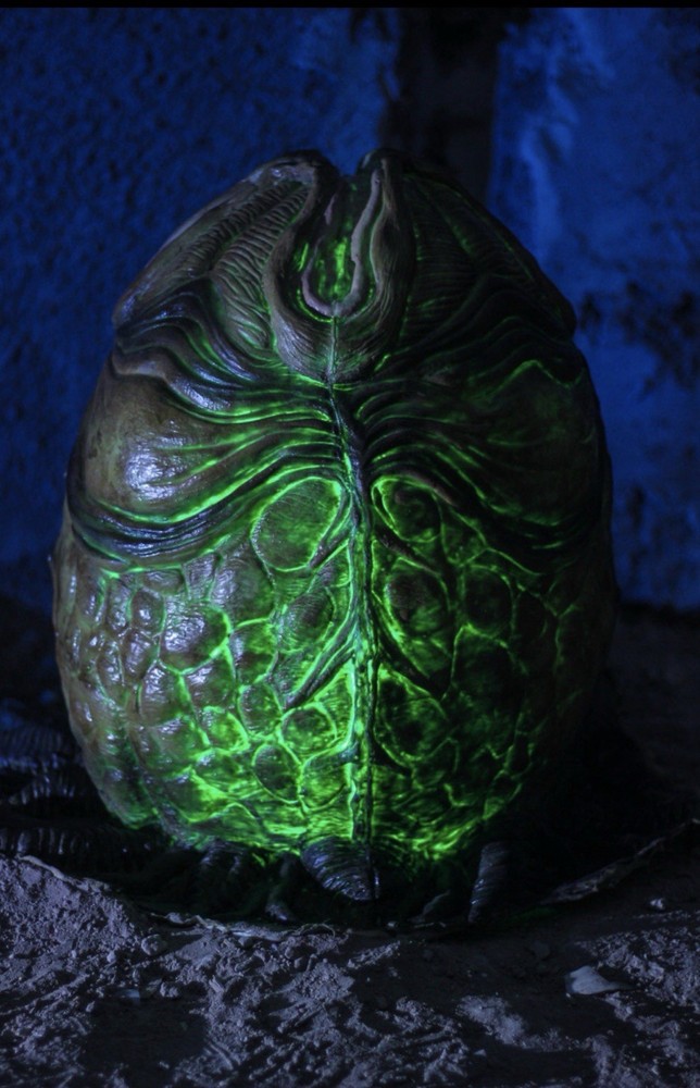 Alien/Xenomorph Eggs