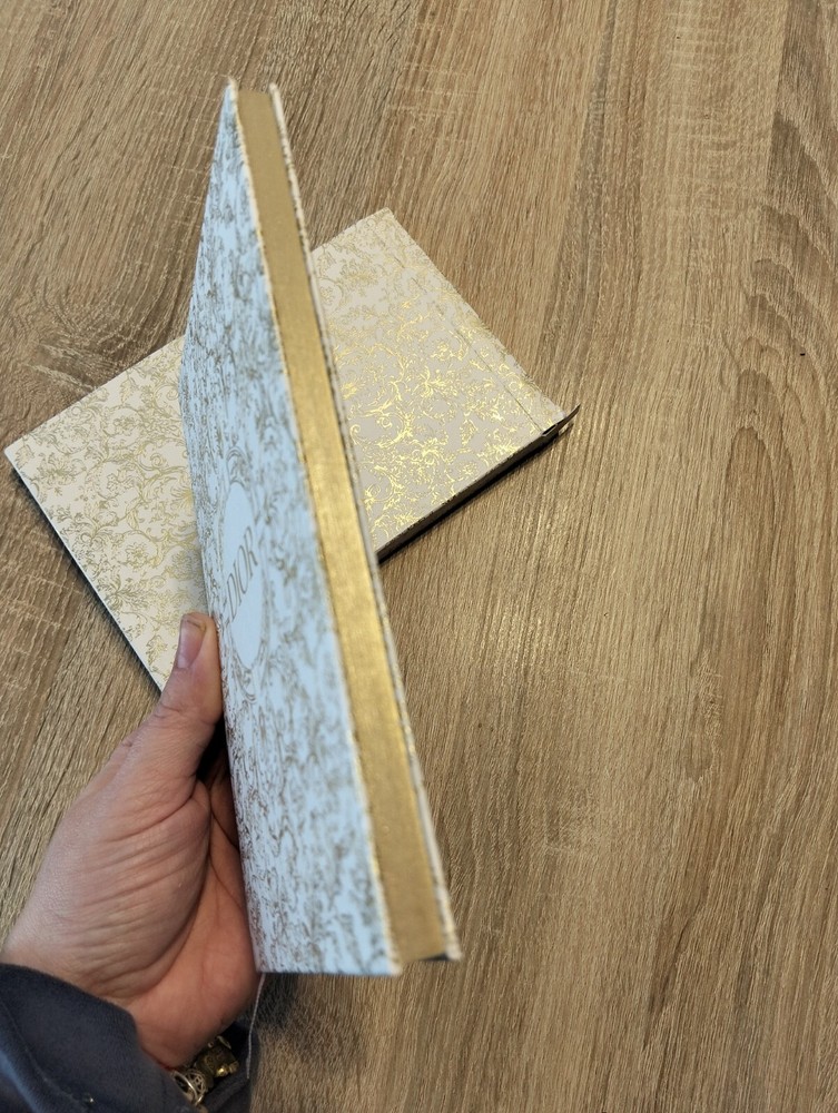 Notebook Notebook Notes Agenda Dior Gold With Box. New