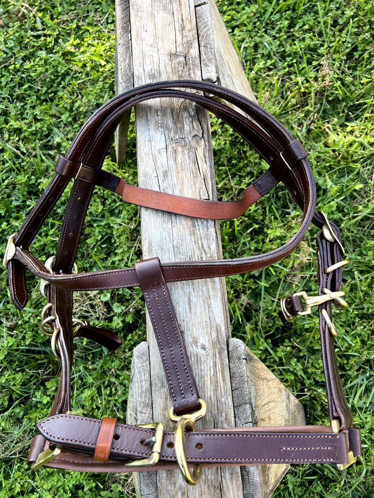 Leaders Heavy Duty True Draft Size Halter Bridle with Solid Brass Hardware