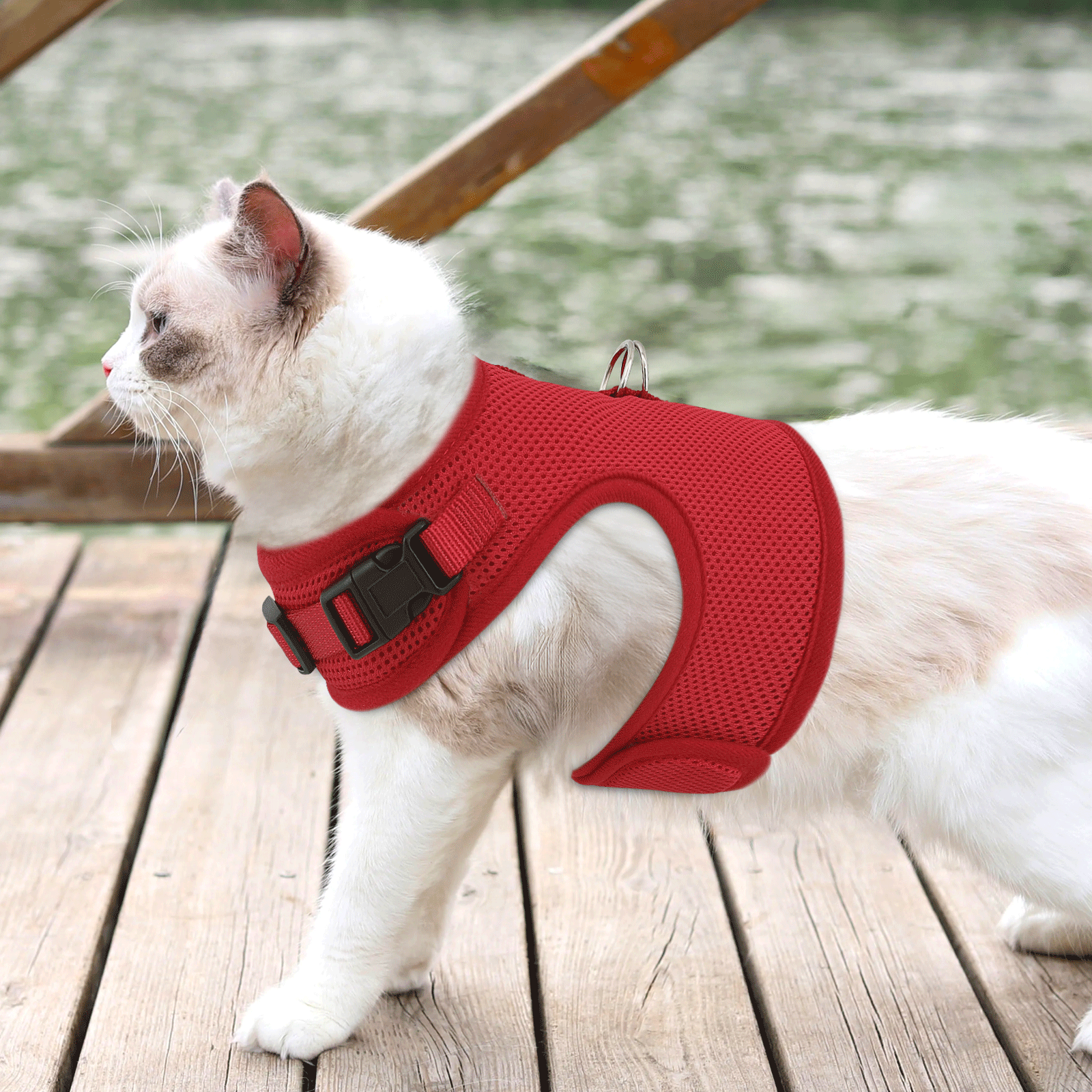 Escape Proof Cat Pet Harness Breathable Mesh Adjustable Walking Kitten Chest Red
