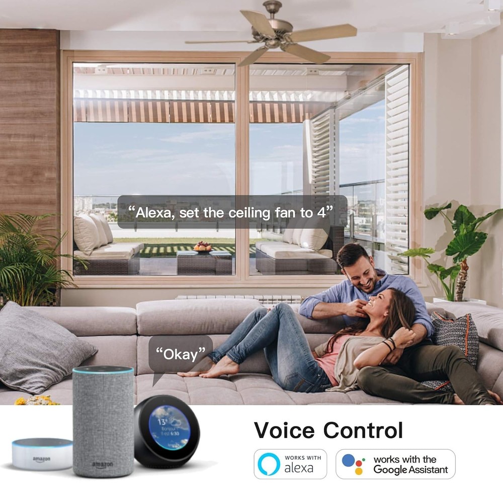 2Pack Smart Ceiling Fan Control ,Works with Alexa, Google Home, Remote Control