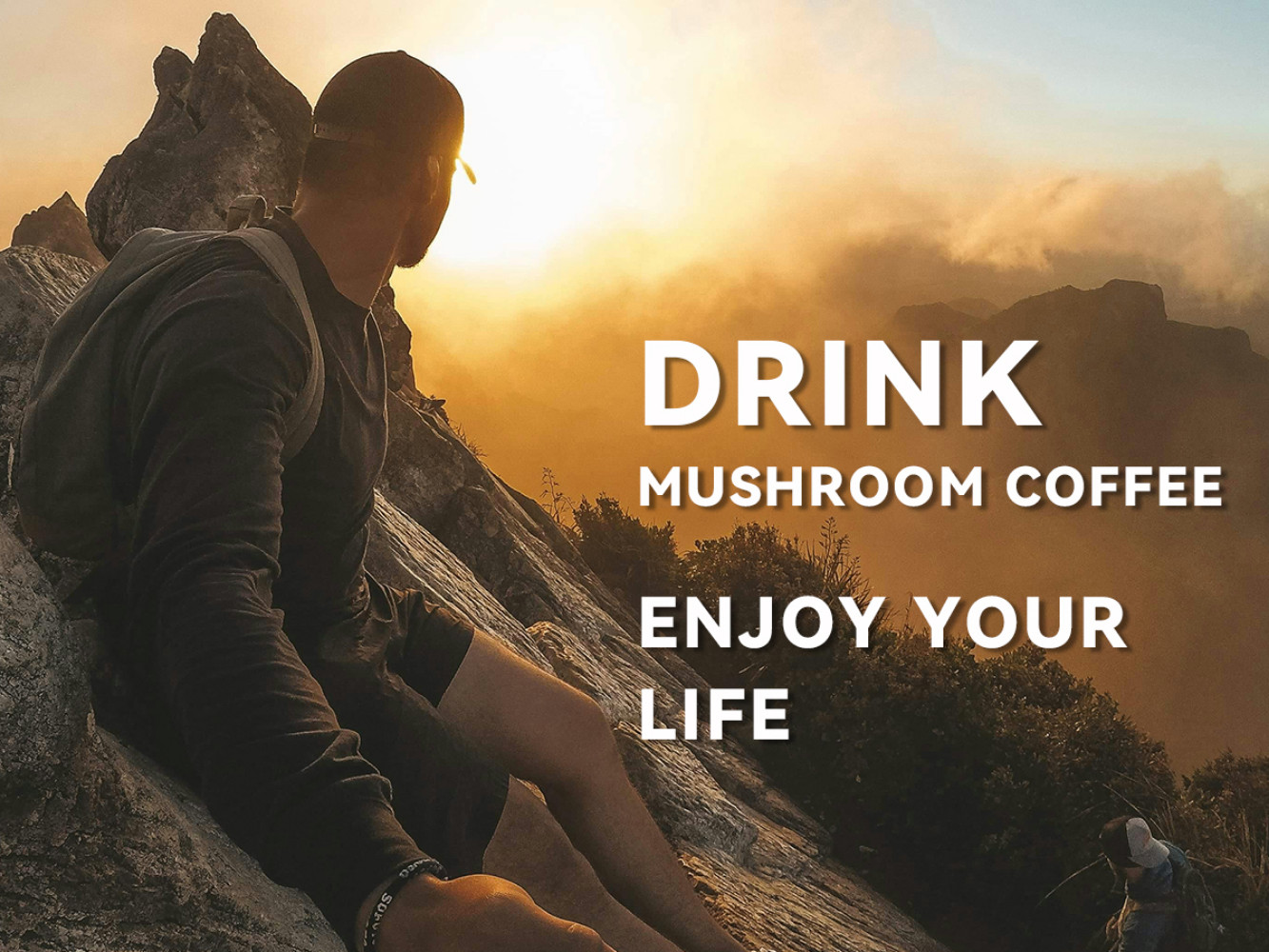 New Mushroom Coffee Organic Coffee 60 Servings in One Pack, No Odor, Exp 12/2027