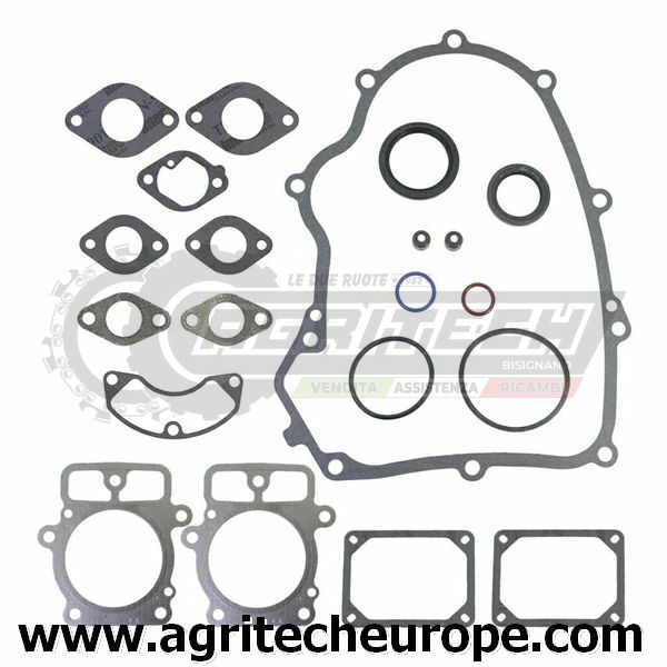 Briggs & Stratton Engine Gasket Series