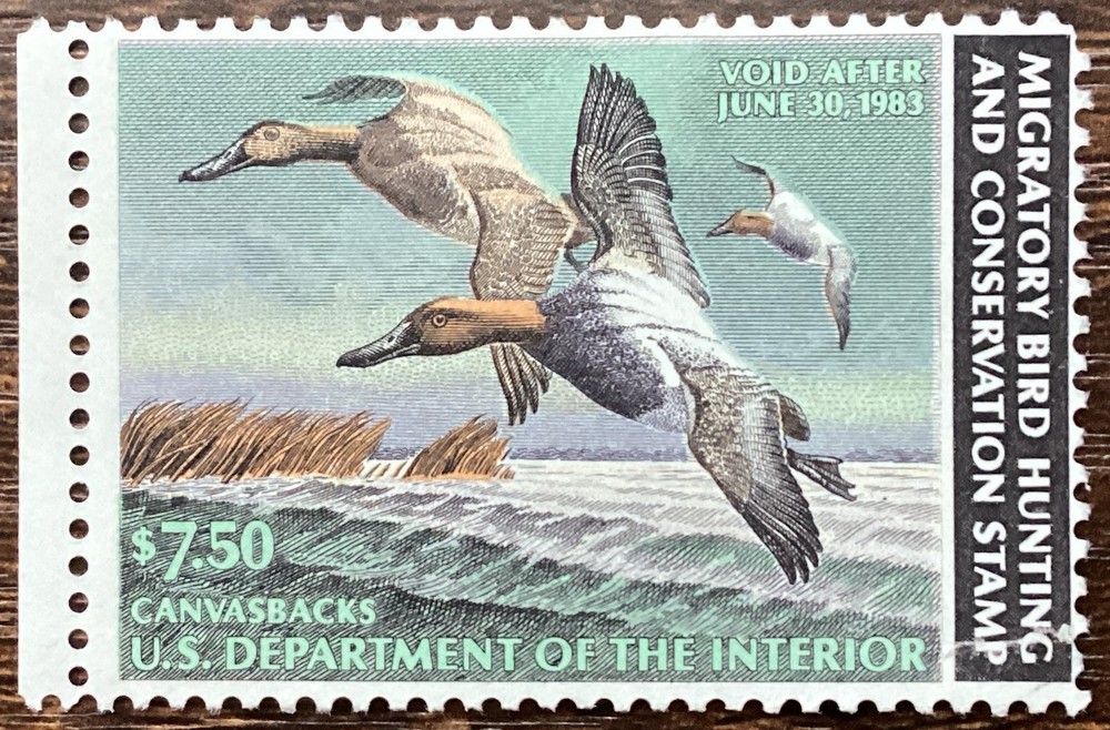 Duck  Stamp $7.50 1982 Canvasbacks RW49 MH