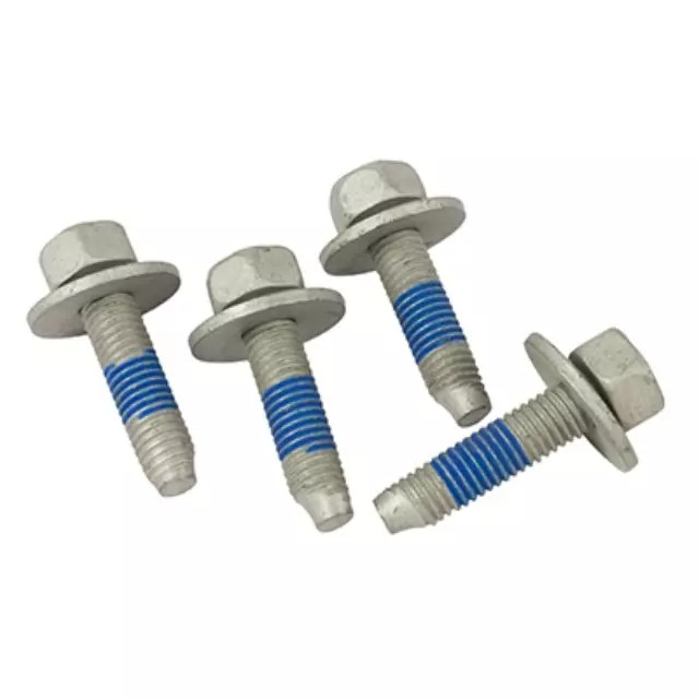 Rear Plate Bolt PACK OF 4