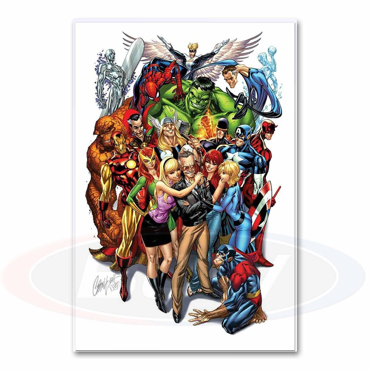 1 pack of 100 BCW 12" x 18" Photo Print Sleeves