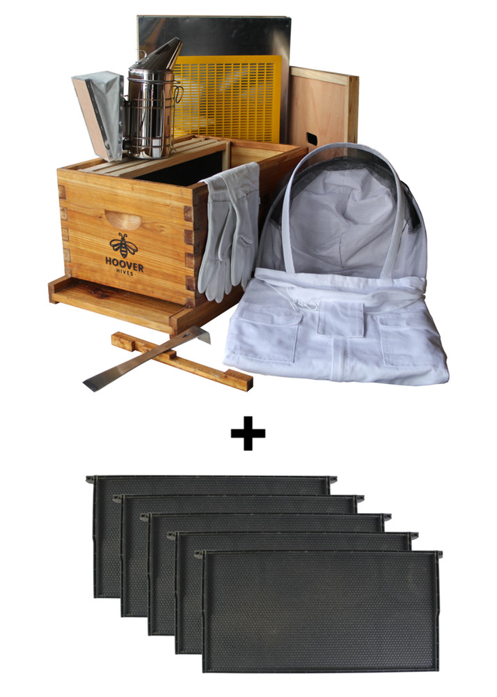 Wax-Coated 8 Frame Beehive - Starter Kit Starter Kit With 3 Frames