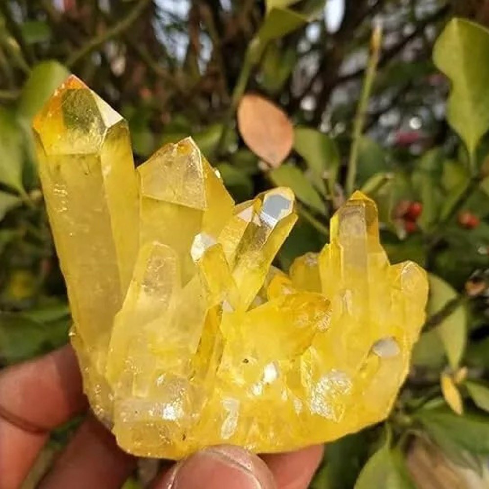 Healing Mineral Specimen Natural Aura Yellow Citrine Crystal Titanium Cluster US