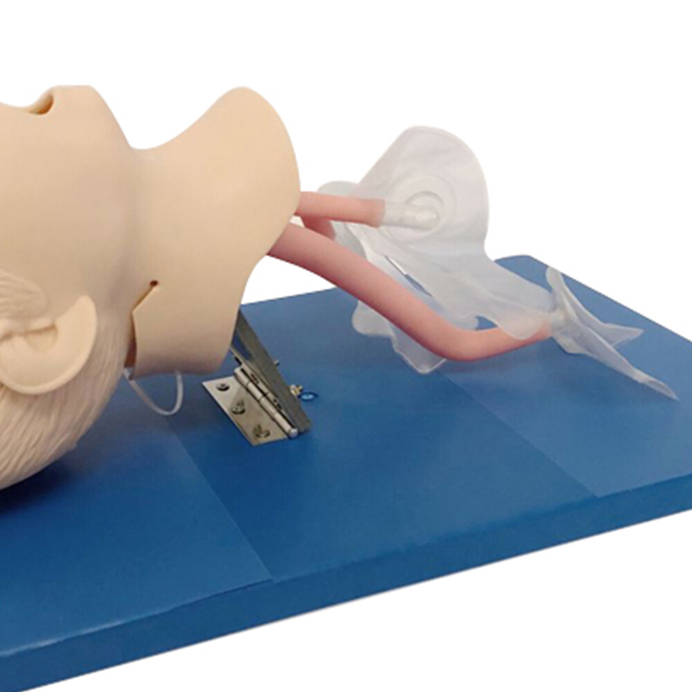 Intubation Manikin Study Teaching Training Model Airway Management Trainer Model