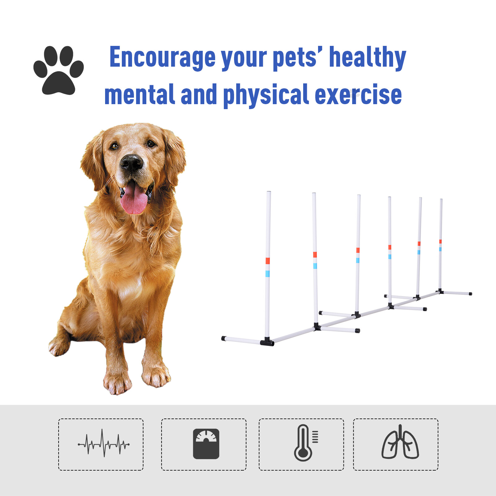 Dog Weave Pole Set Agility Starter Kit Pet Outdoor Exercise Training Set