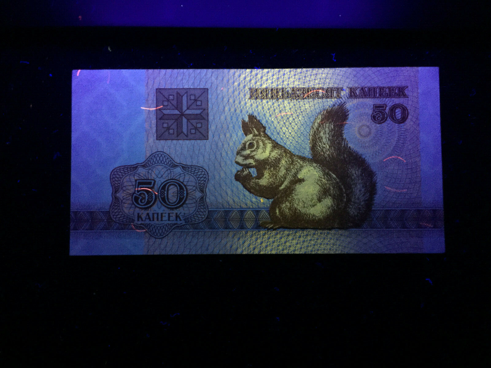 Belarus Set of 100,50,25,10 Rublei & 50 kap 1992 Banknote World Paper Money UNC