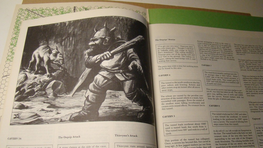 MODULE - N2 - THE FOREST ORACLE *HIGH GRADE* DUNGEONS & DRAGONS ORIGINAL