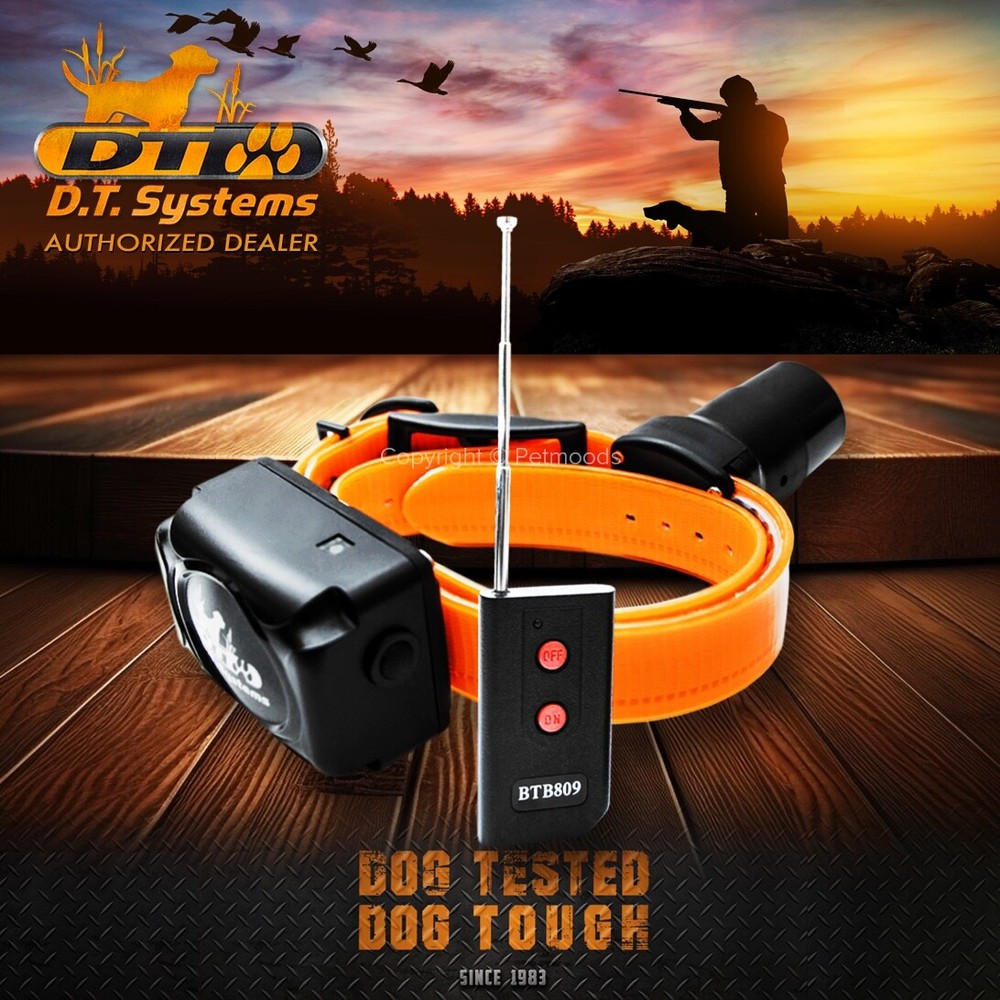 DT Systems BTB-809 Single Beep Baritone Dog Beeper Collar with Remote Control