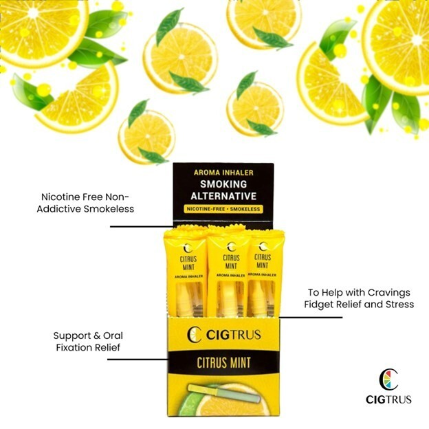 Quit Smoking Natural Alternative Aid Refreshing Citrus Lime Aroma Inhaler Box 20