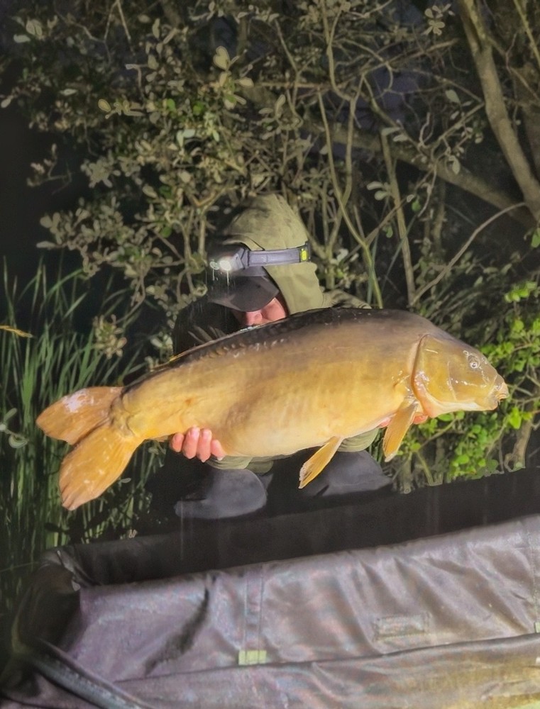 Kingybaits Squidberry 5kg bundle.