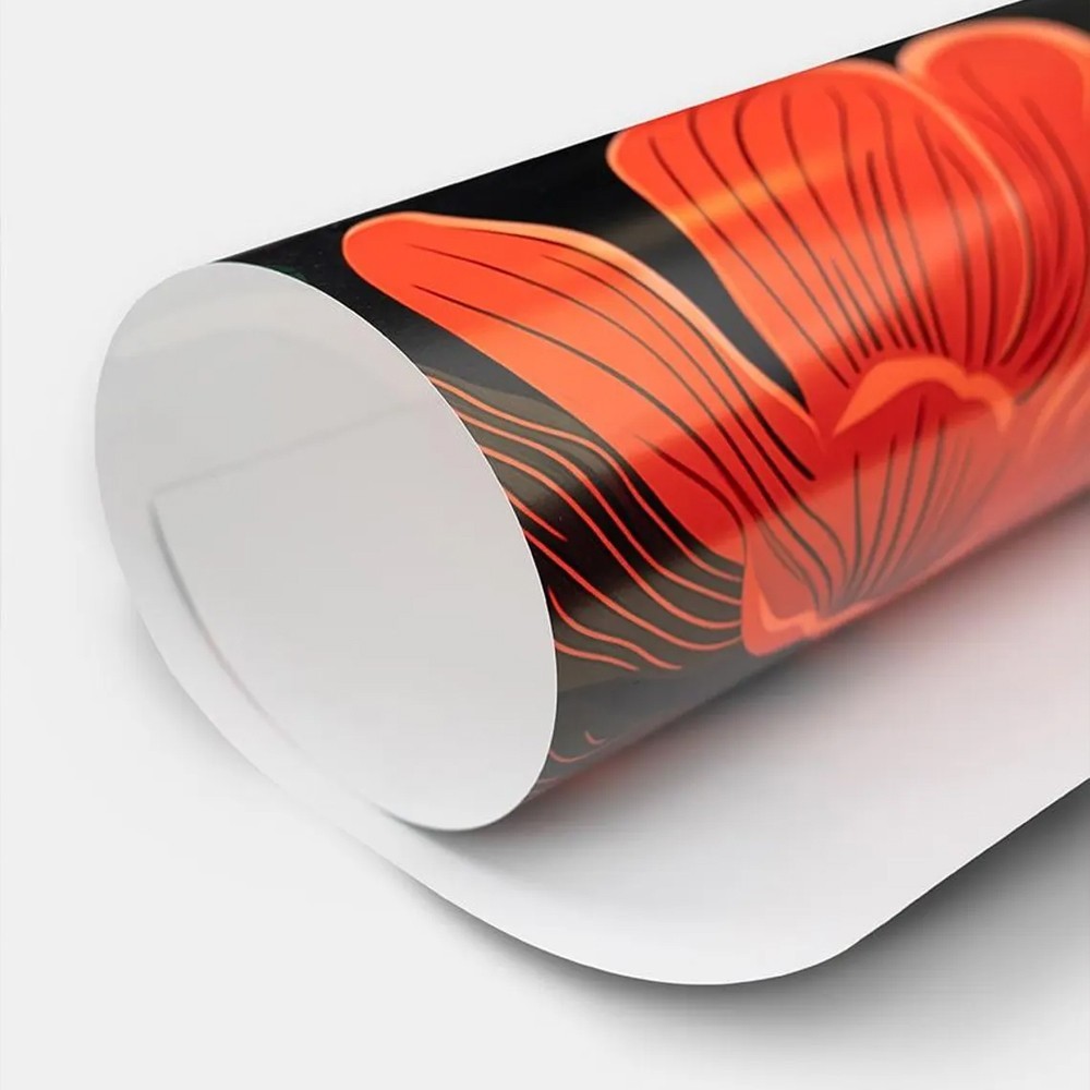 Tai Chi Walking Poster, Senior Balance Exercise Chart Guide