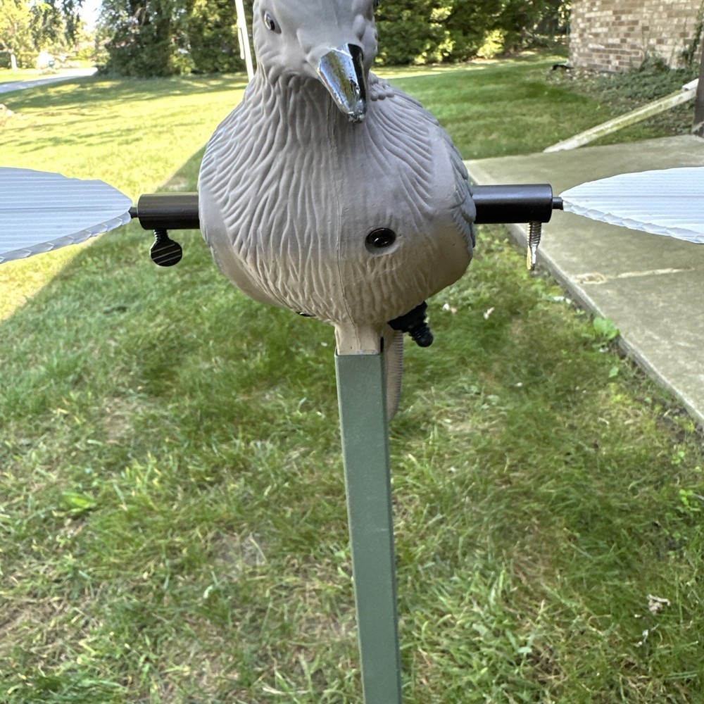 Mojo Dove HW2002 Decoy Hunting Bird