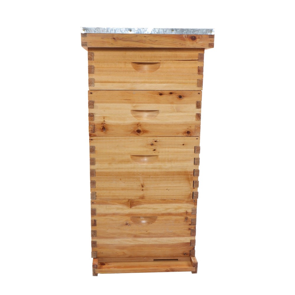 10 Frame Bee Hive Box Beeswax Coated With Frames and Waxed Foundations 4 Layer