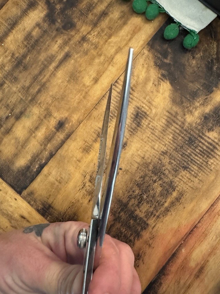 Kenchii Grooming Scorpion Shears / Scissors