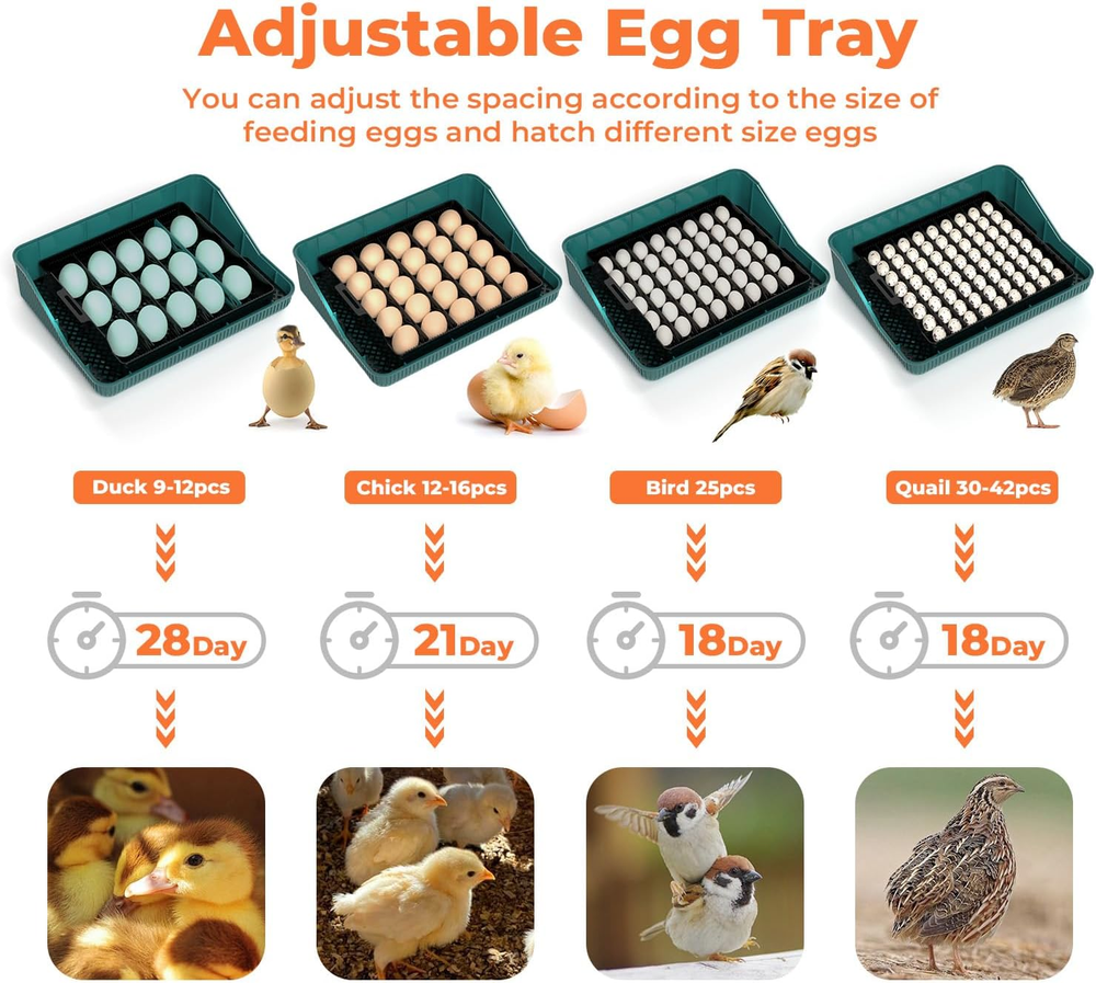 Automatic Egg Incubator for Hatching Eggs: Egg Incubator with Automatic Egg Turn