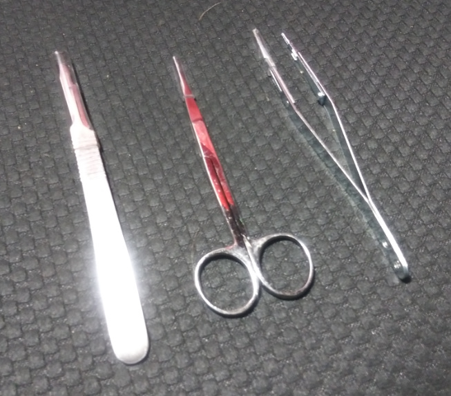 Surgical Grade Scalpel, Scissors and Forceps Kit