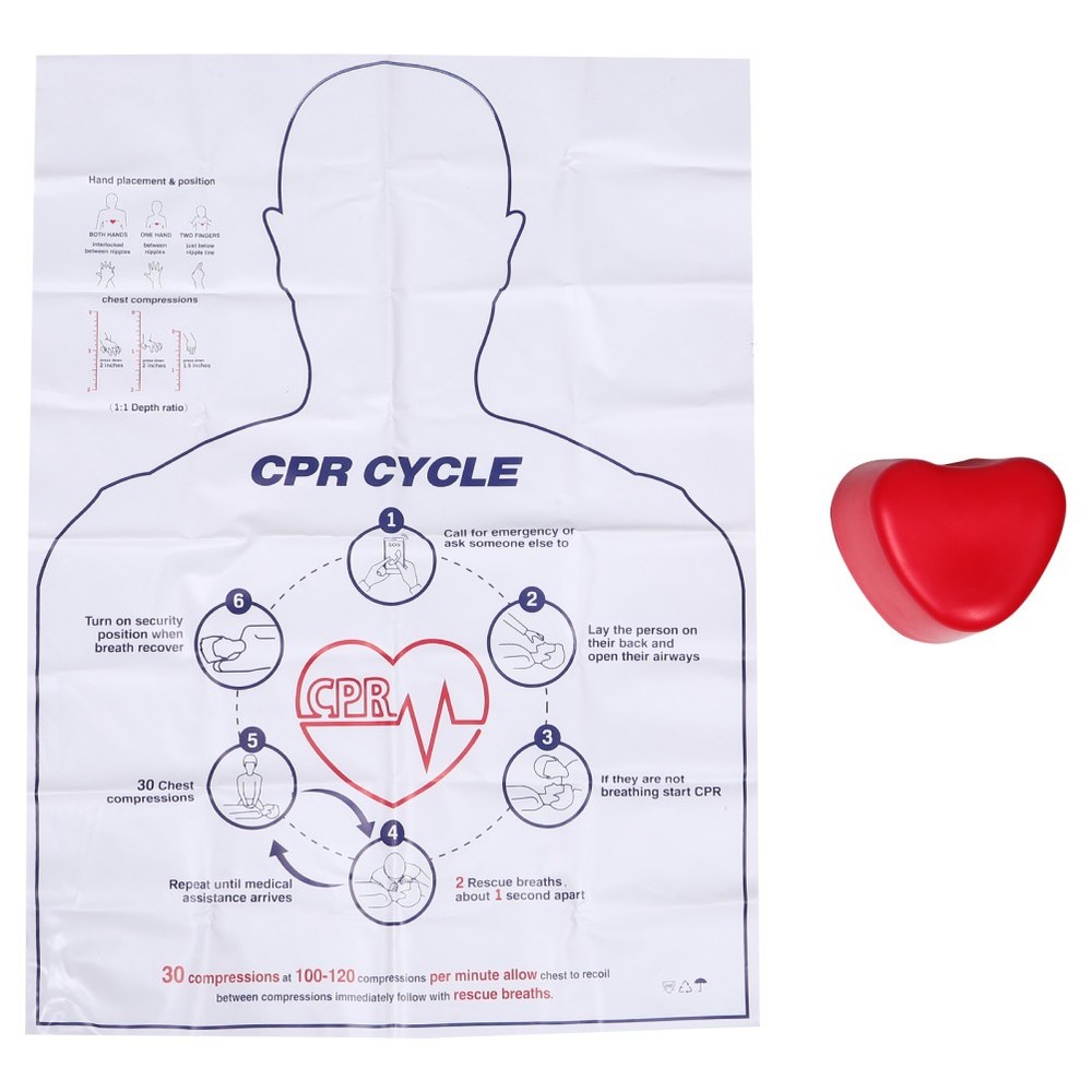 Cardiac Training Model Cpr Compression Practice Kit Tool for Beginners
