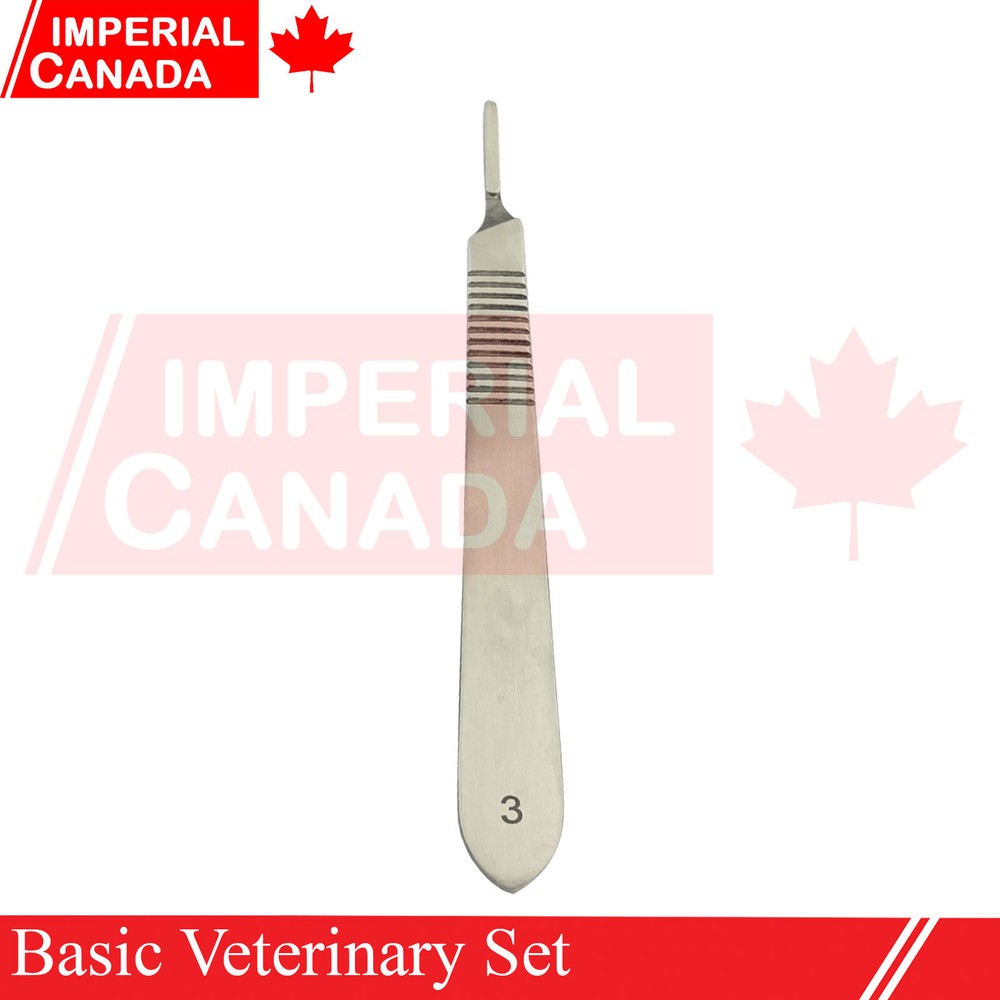 6 Pcs Basic Veterinary Set Instruments Scalpel+Scissors+Needle Holder+Re DS-1968