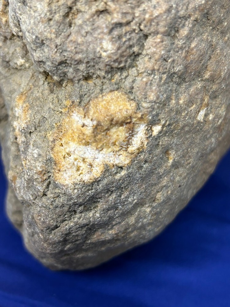 Large Kentucky Geode Half Split Cut to Stand & Display Quartz Geode 6+ Pounds