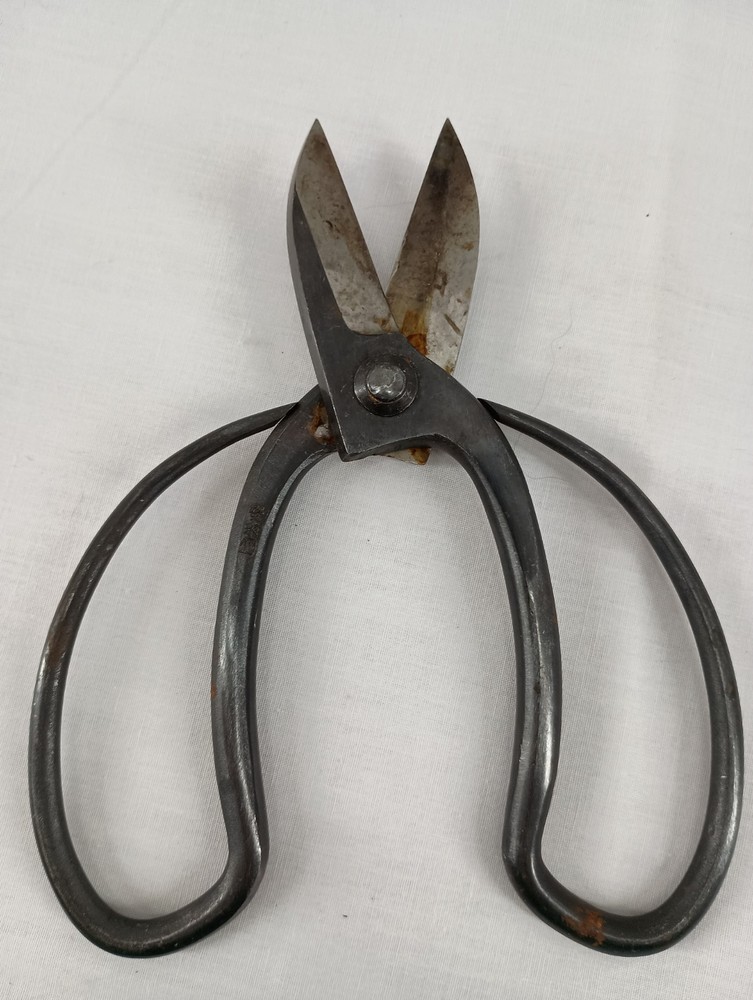 Koryu Scissors