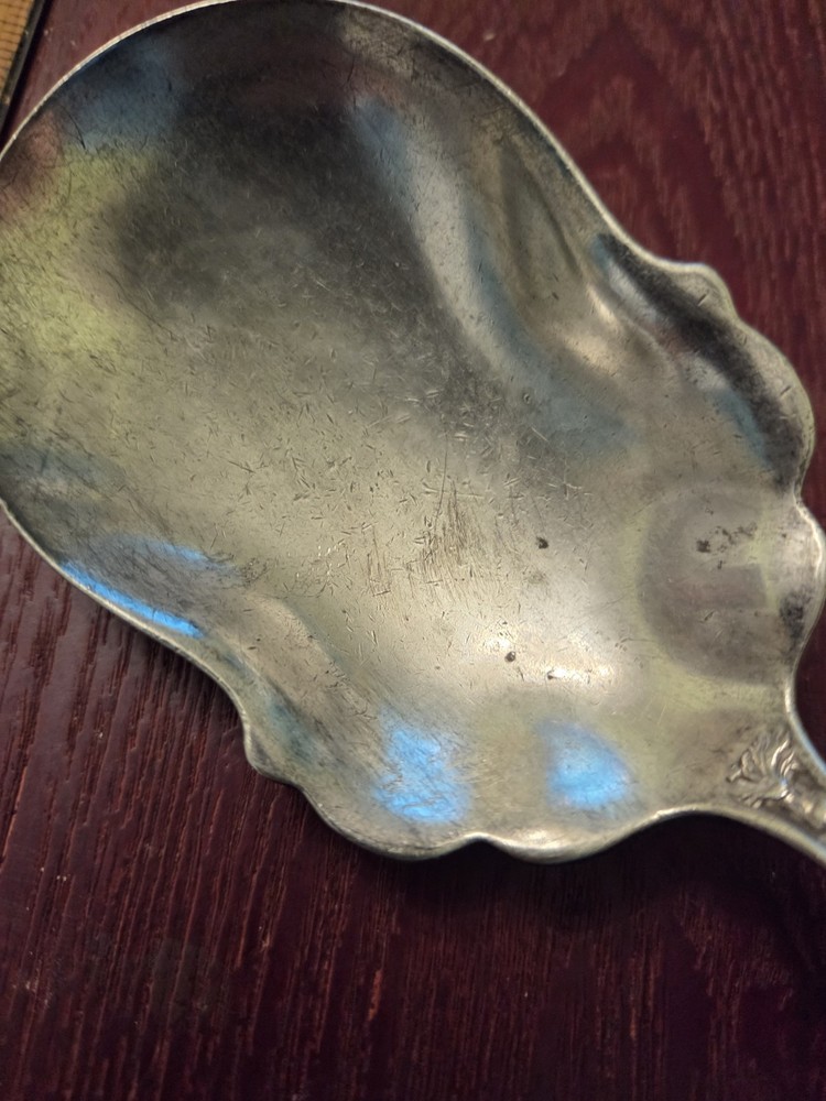 Sheffield Silverware S. H. Co. Quadruple Plate Large Casserole Spoon Carnation