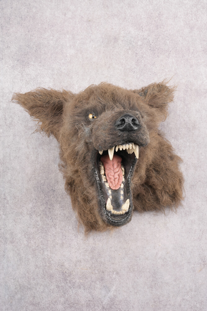 Werewolf Shoulder Mount SKU 2770