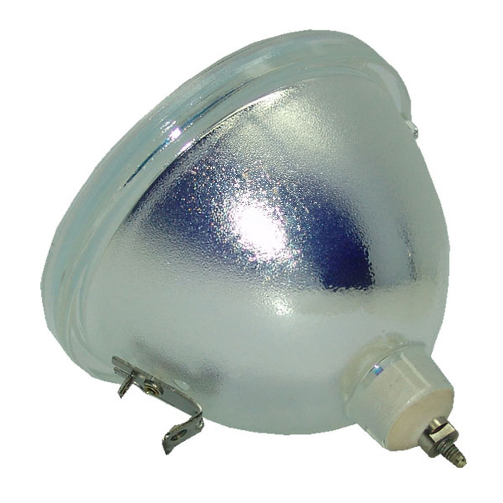 69383 Bulb for Various Projectors