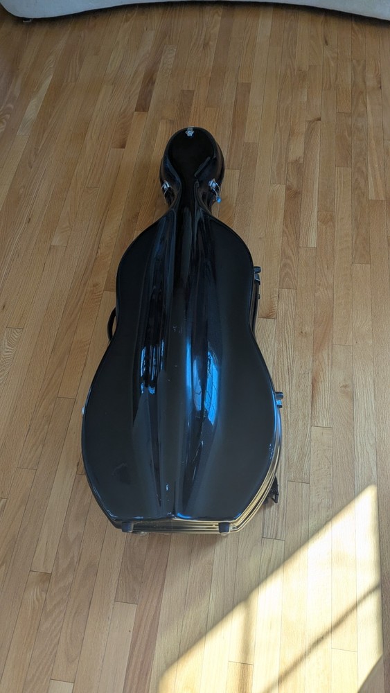 4/4 2012 Eastman Strings Cello