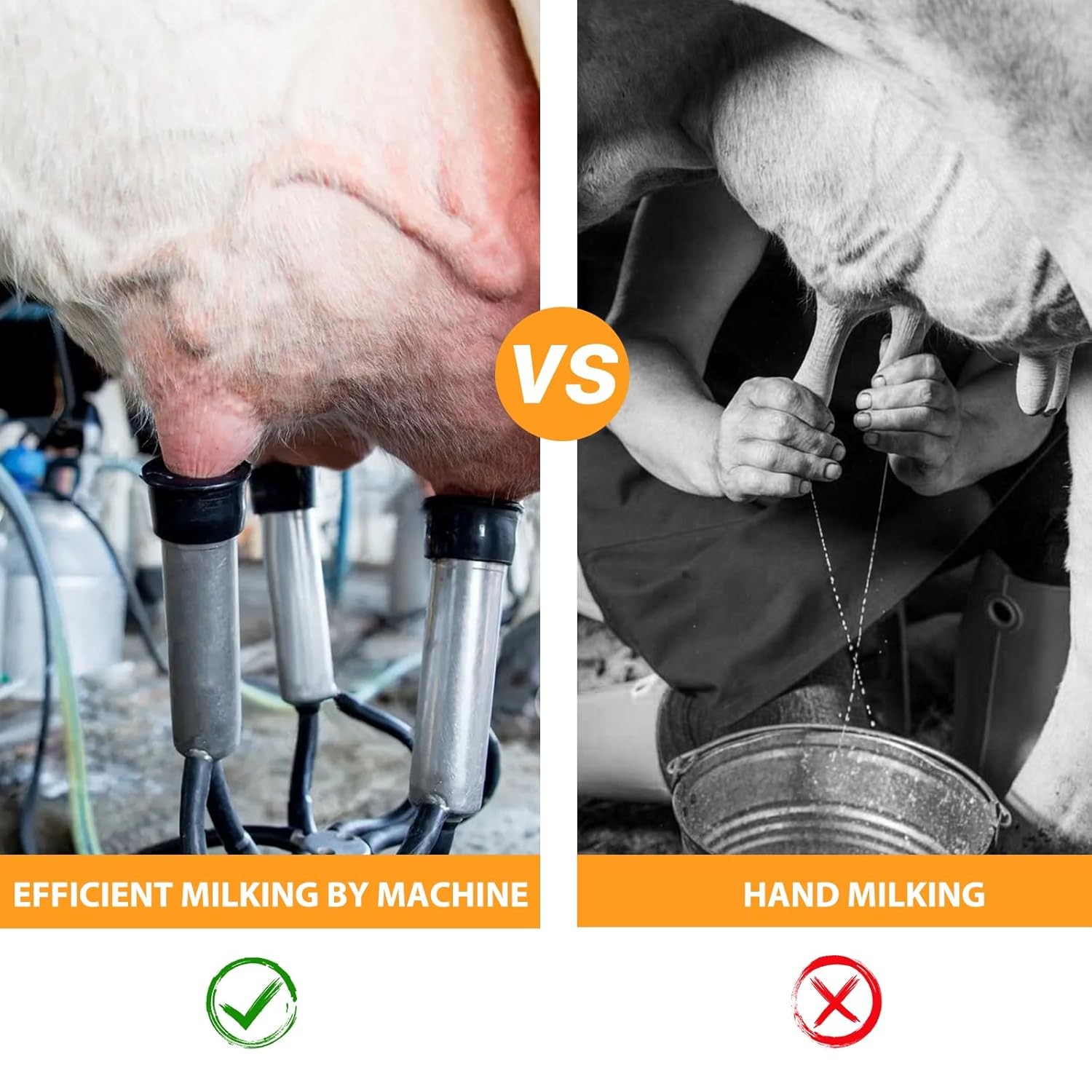 25L Electric Cow Milking Machine Milking Equipment 304 Stainless Steel Bucket US