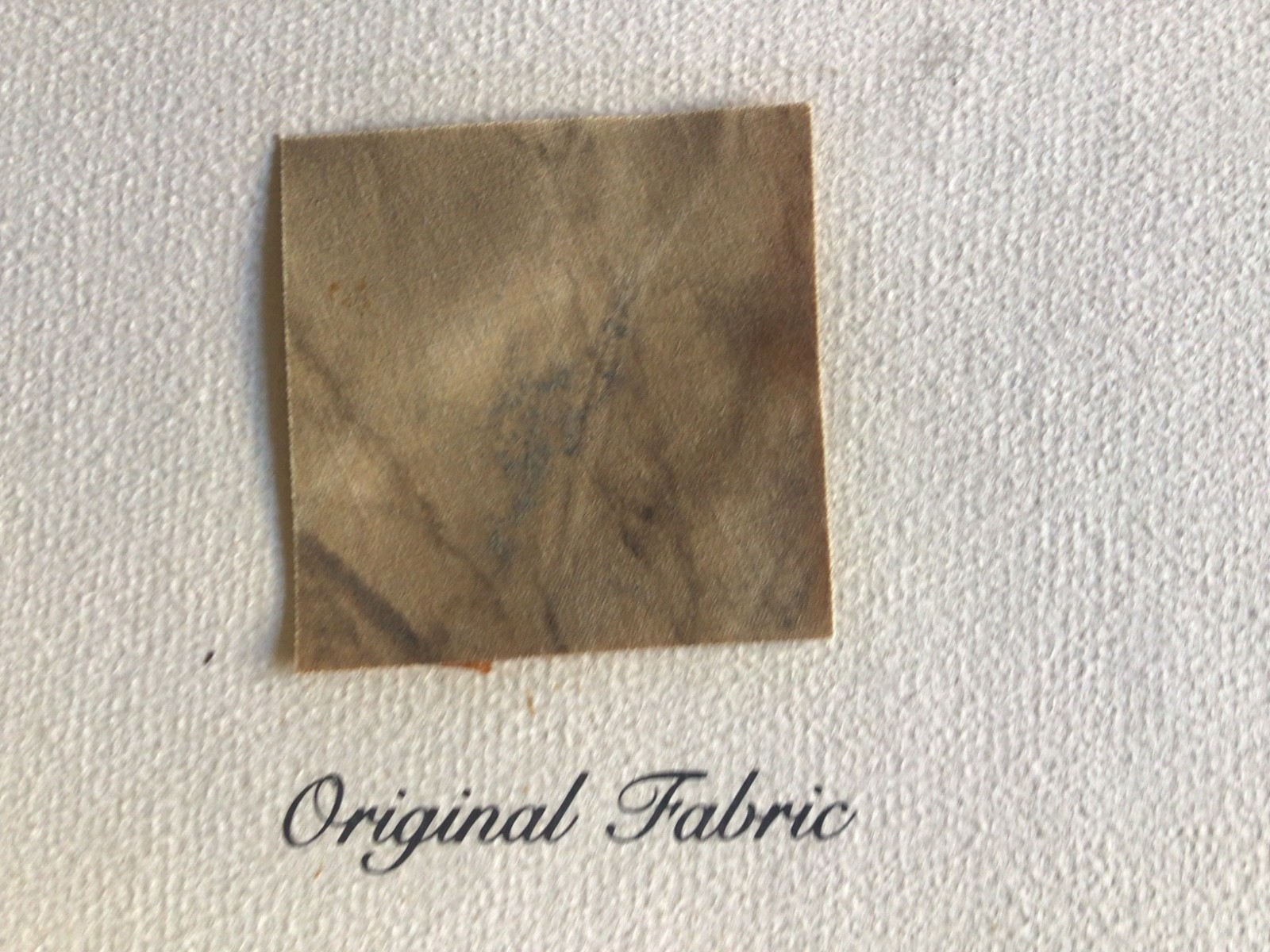 Vtg WRIGHT EX VIN FIZ Original Fabric 1911 Aircraft History PILOT Perry Rodger’s