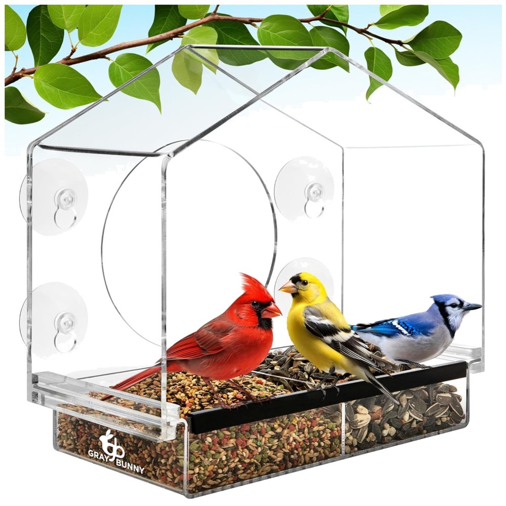 Window Bird Feeder with Strong Suction Cups