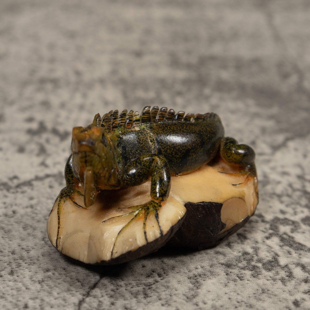 Iguana Lizard Reptile Tagua Carving
