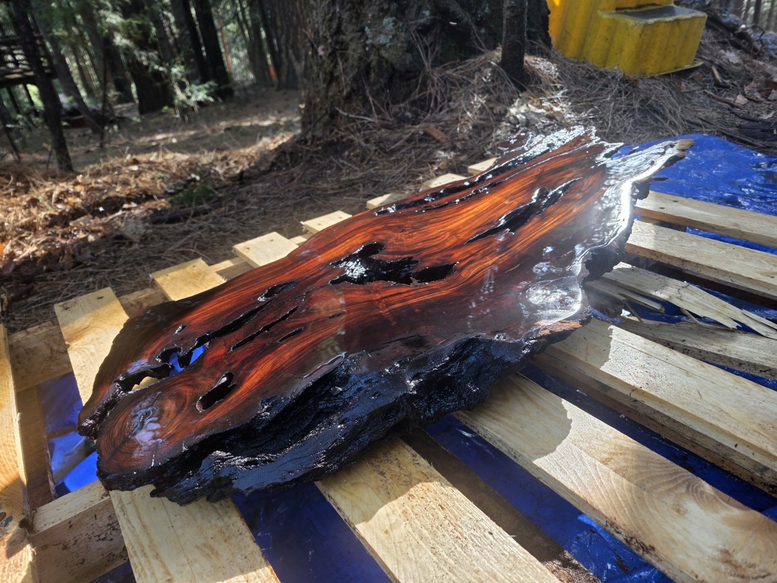 Desert Ironwood Live Edge Slab Epoxy Resin River Table Woodworking Art Mill Log